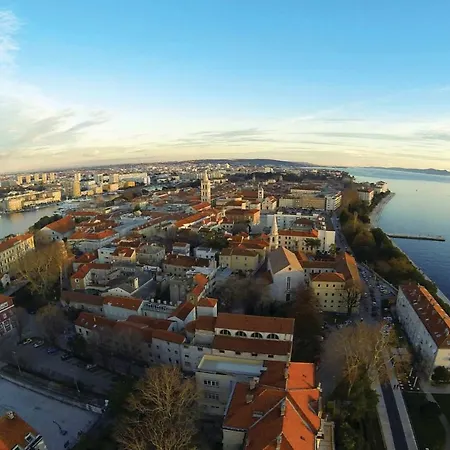 Ane Zadar