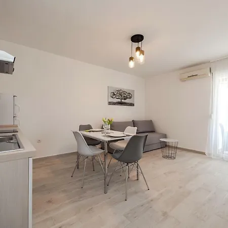Ane Zadar