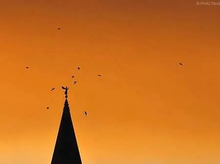 Ane 公寓 扎达尔